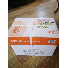 欣乐美A4复印纸 70g 5包/箱